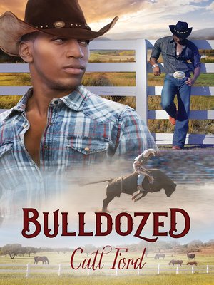 cover image of Bulldozed